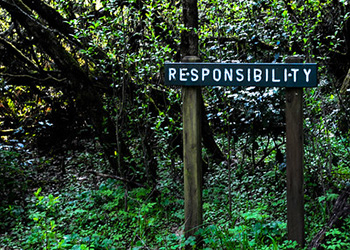 A wood sign on a forest road reading "responsbility"
