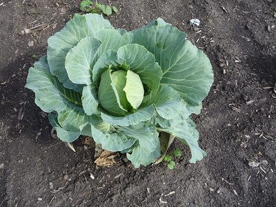 2863345942_da6df64e9c_w